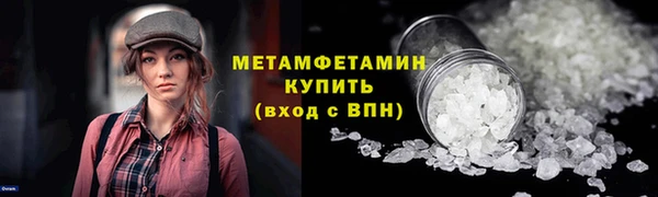 молекула духа Богданович